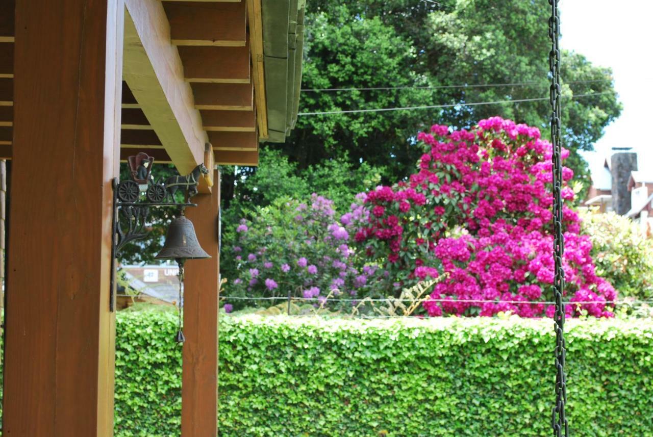 Frontera Pucon Hostel B&B Kültér fotó